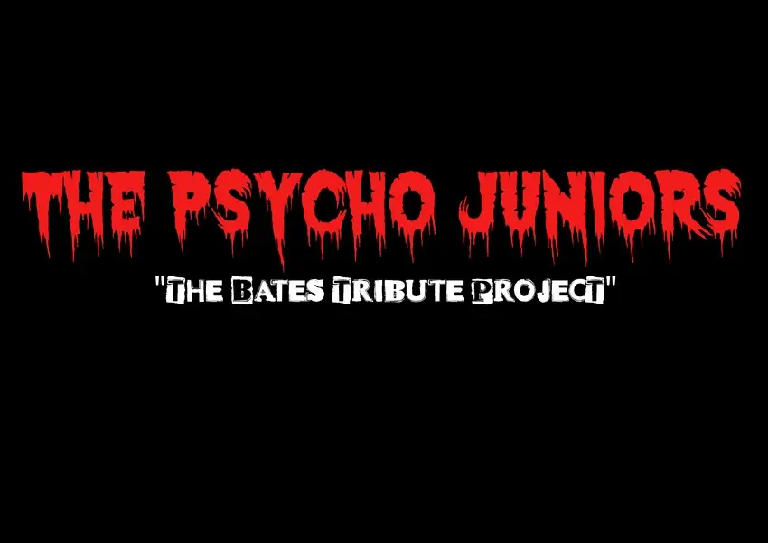 The Psycho Juniors - Banner